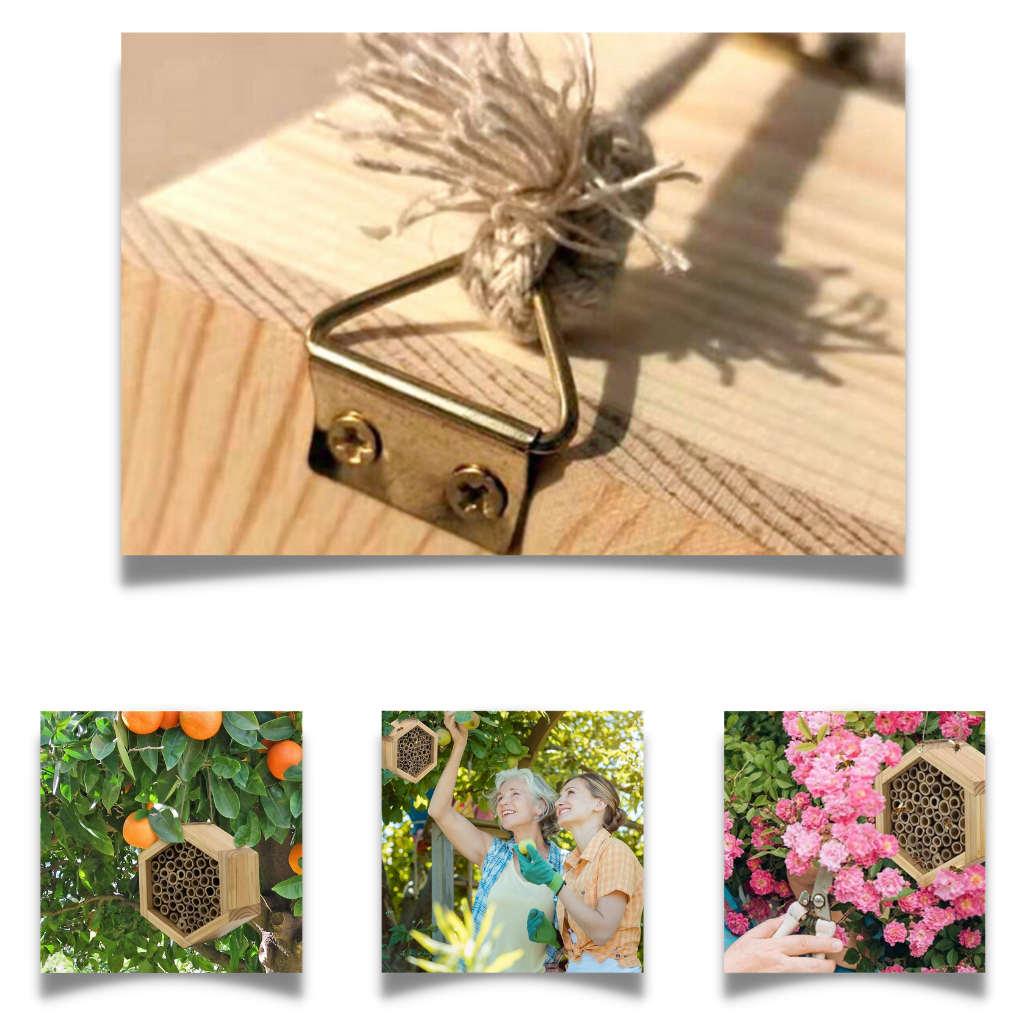 Maison d'abeilles hexagonale en bois - Ozerty