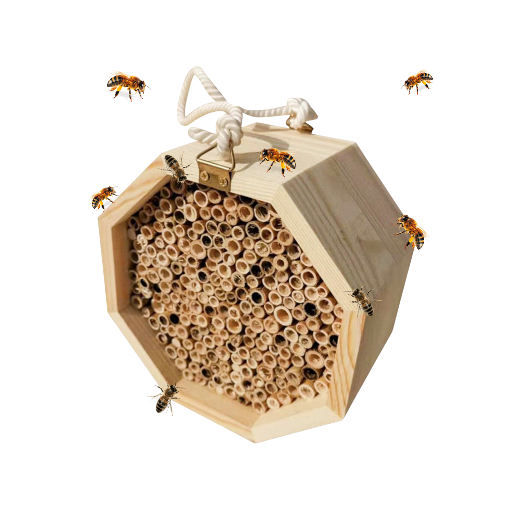 Maison d'abeilles hexagonale en bois - Ozerty