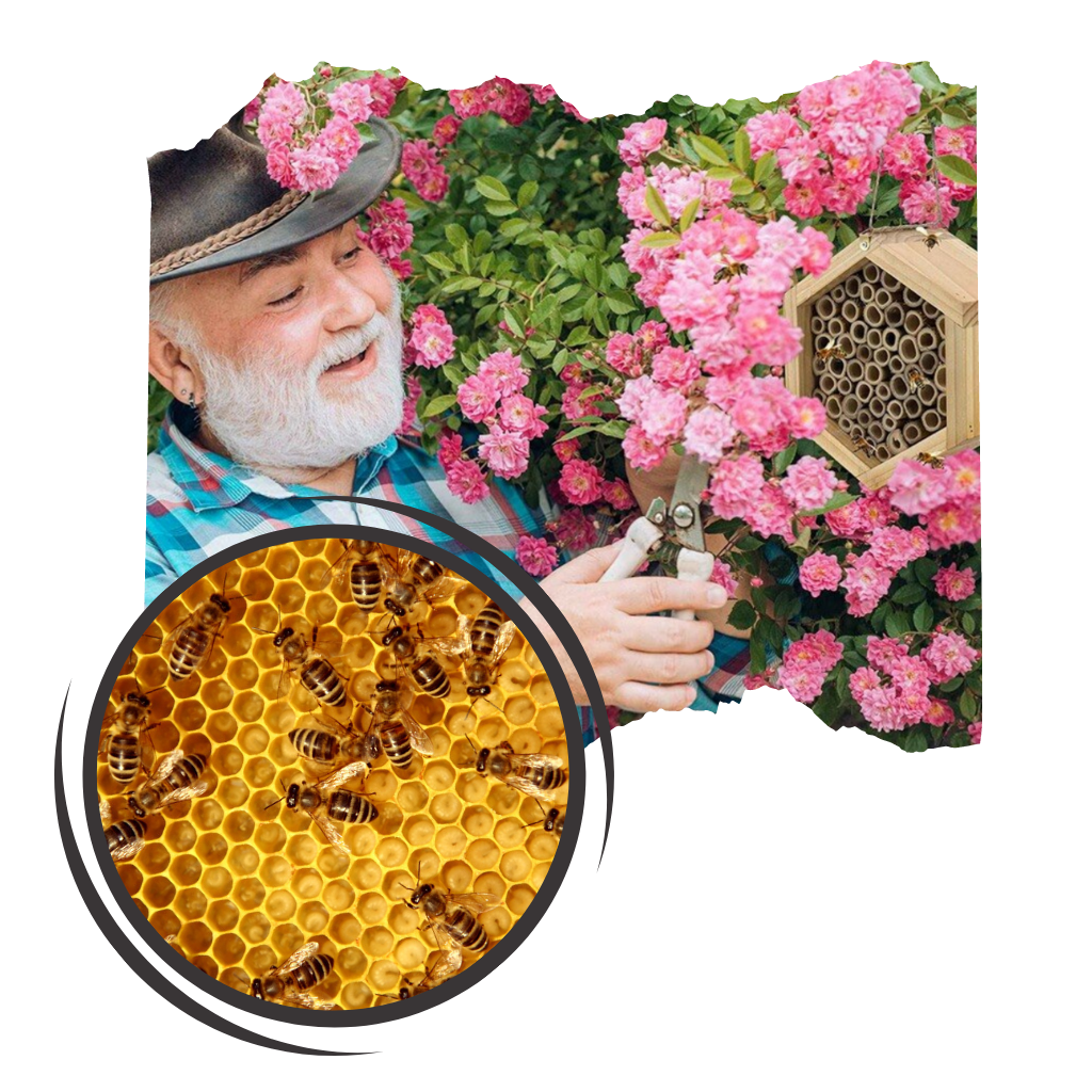 Maison d'abeilles hexagonale en bois - Ozerty