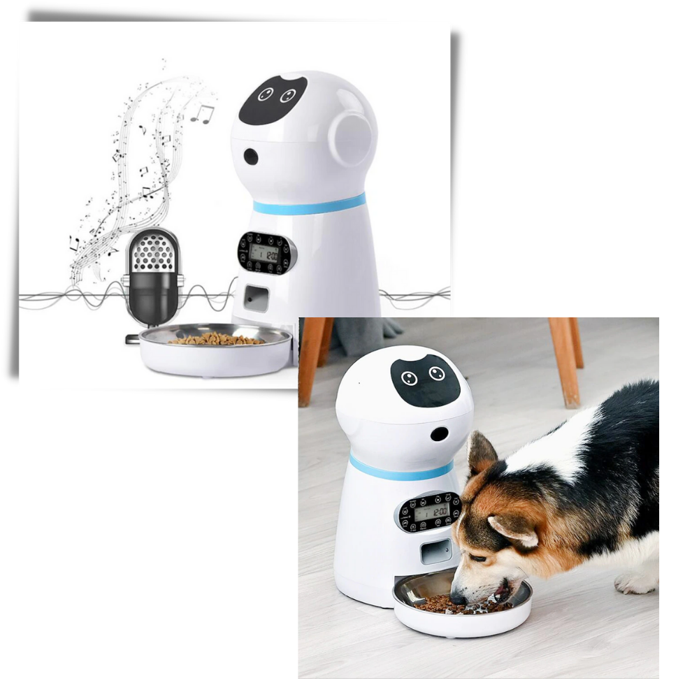 Distributeur automatique de nourriture pour animaux de compagnie - Ozerty