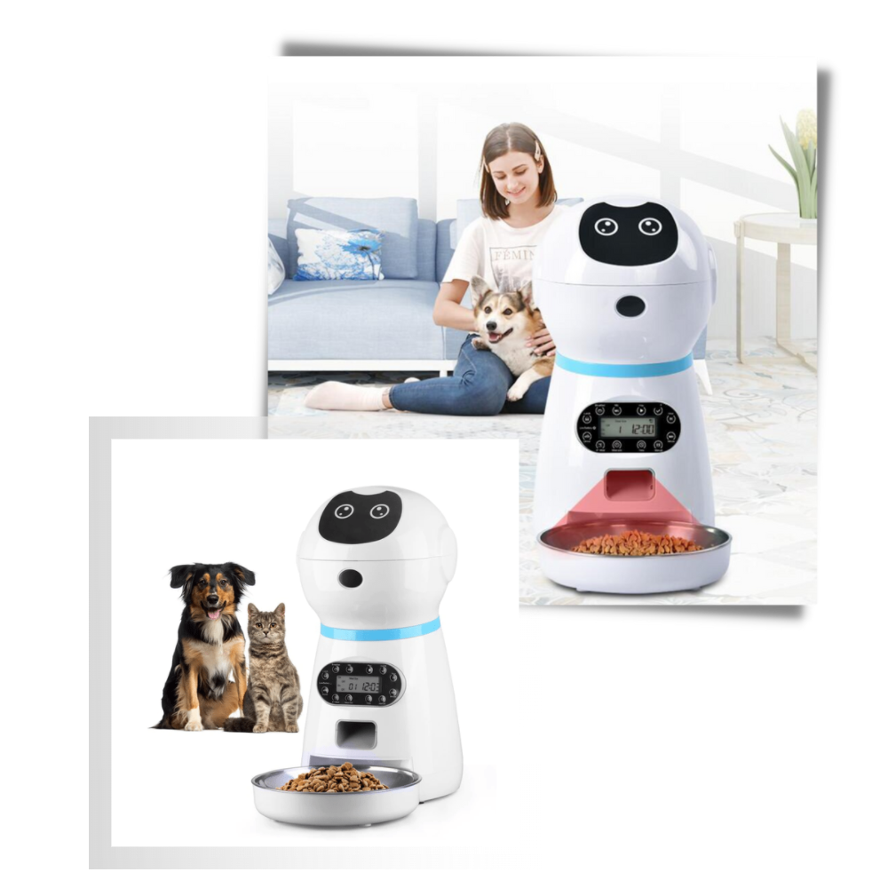 Distributeur automatique de nourriture pour animaux de compagnie - Ozerty