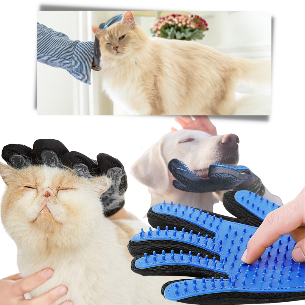 Gants de toilettage pour animaux (paire) - Ozerty