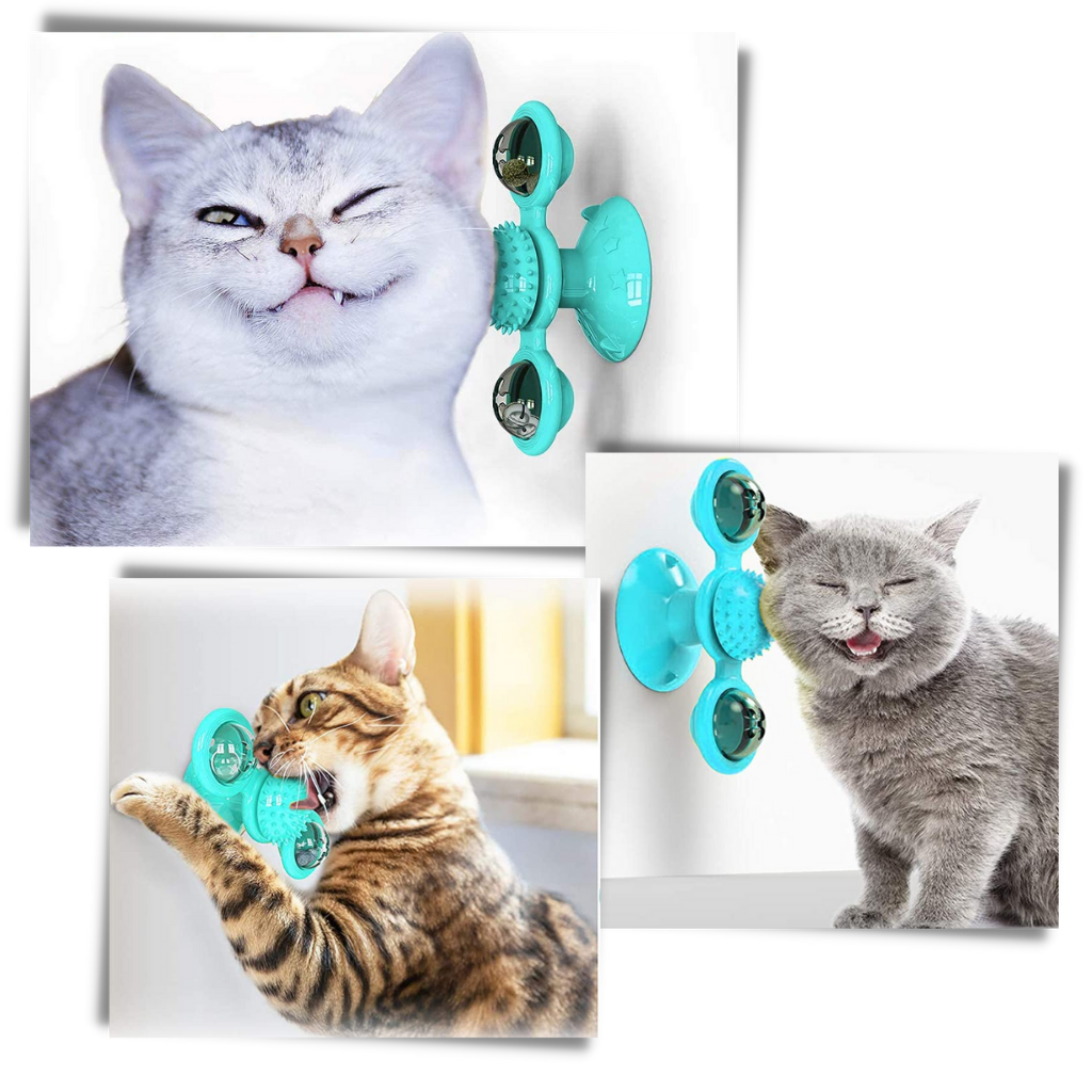 Jouet pour chat "moulin à vent rotatif" avec brosse - Ozerty