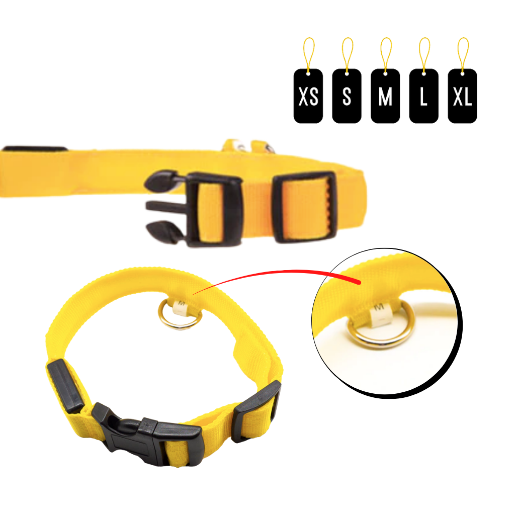 USB Rechargeable Light Up Pet Collar