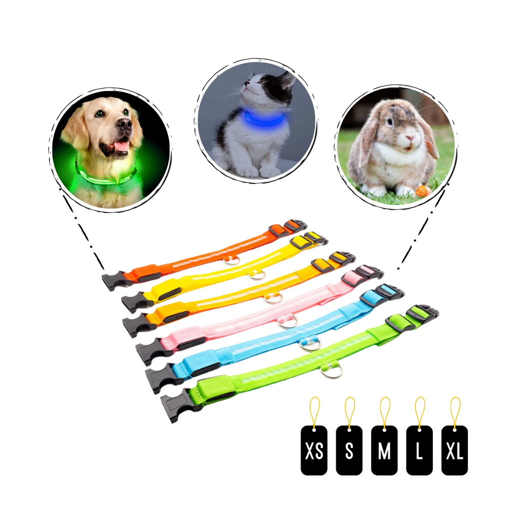 USB Rechargeable Light Up Pet Collar