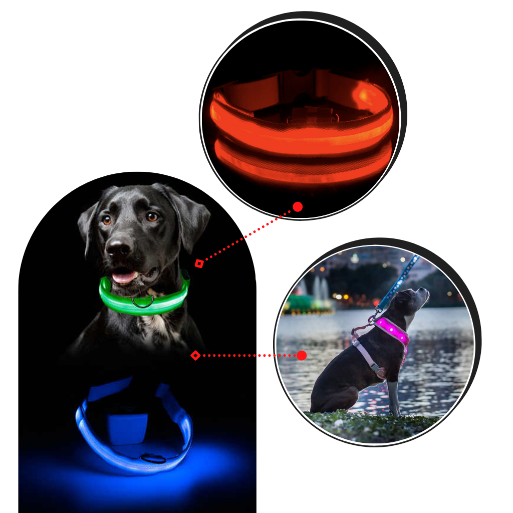 USB Rechargeable Light Up Pet Collar