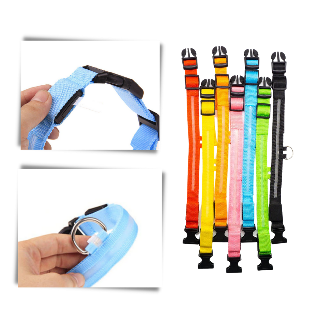 USB Rechargeable Light Up Pet Collar