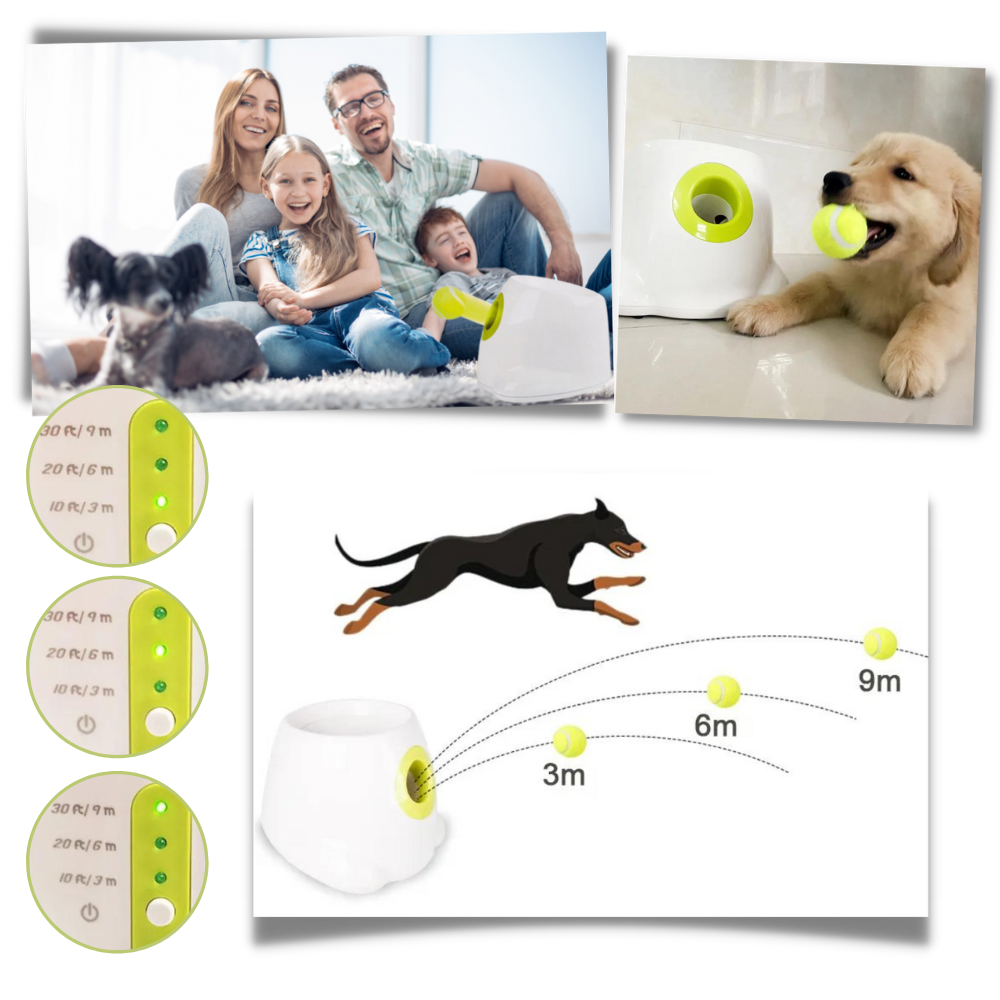 Lanceur de balles automatique pour chiens - Ozerty