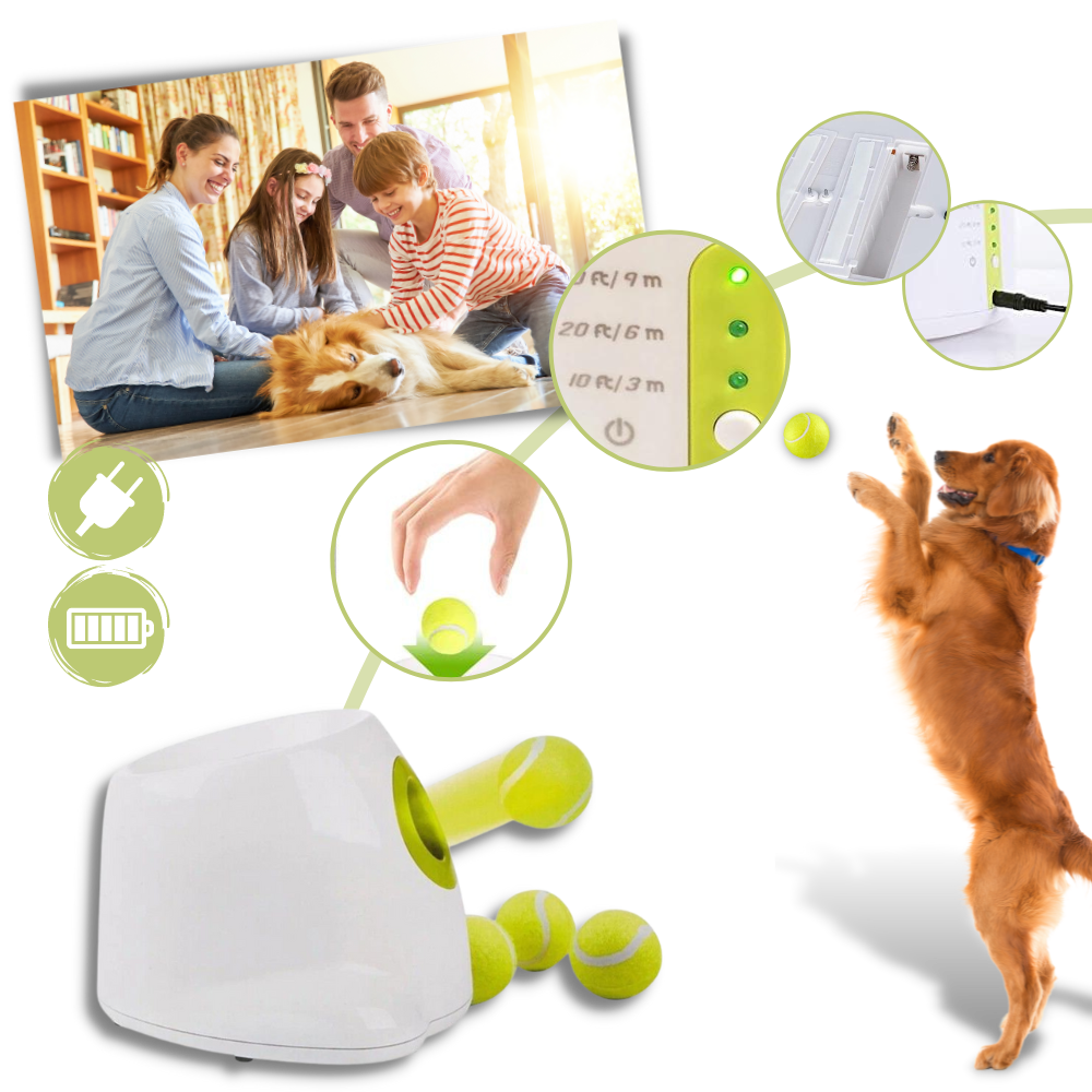 Lanceur de balles automatique pour chiens - Ozerty