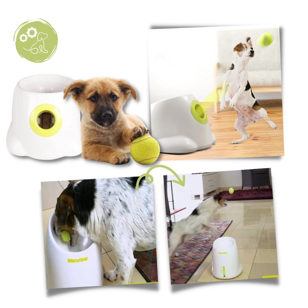 Lanceur de balles automatique pour chiens - Ozerty