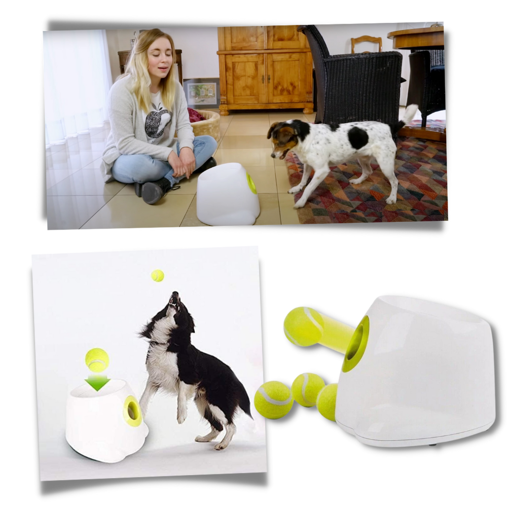 Lanceur de balles automatique pour chiens - Ozerty