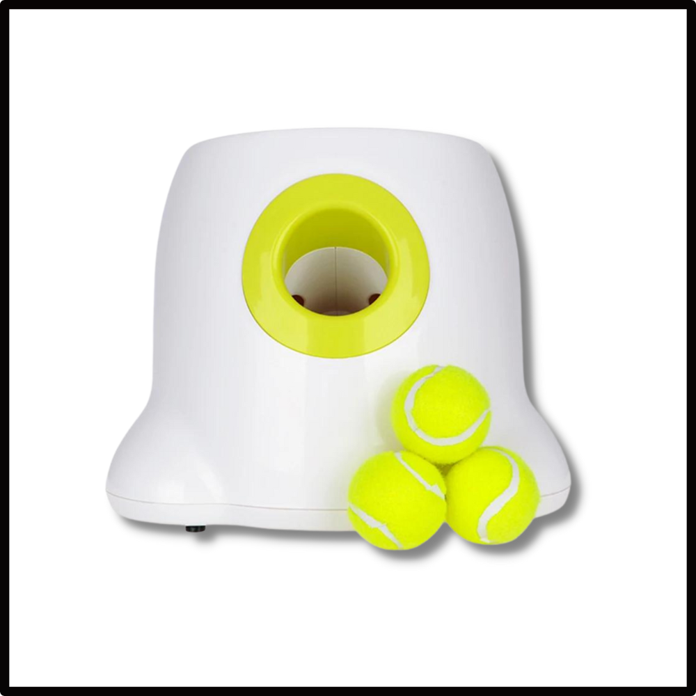 Lanceur de balles automatique pour chiens - Ozerty