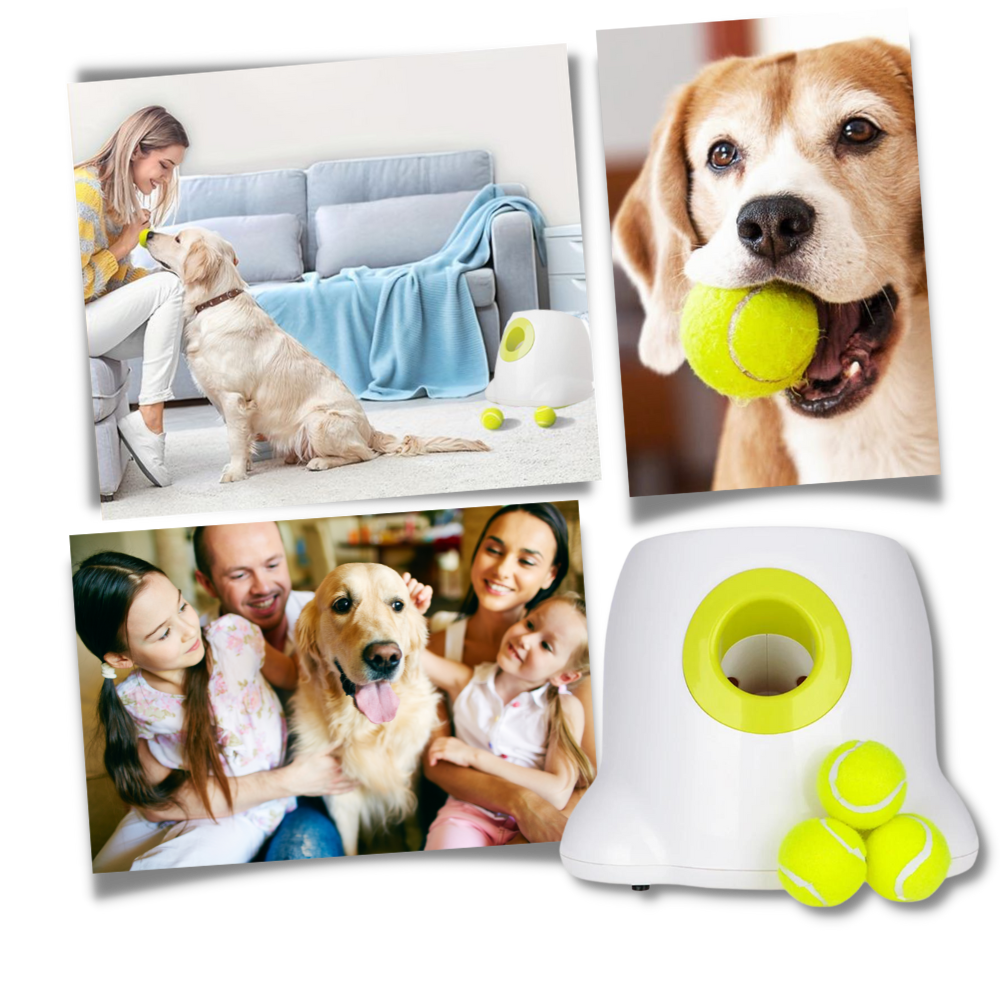 Lanceur de balles automatique pour chiens - Ozerty