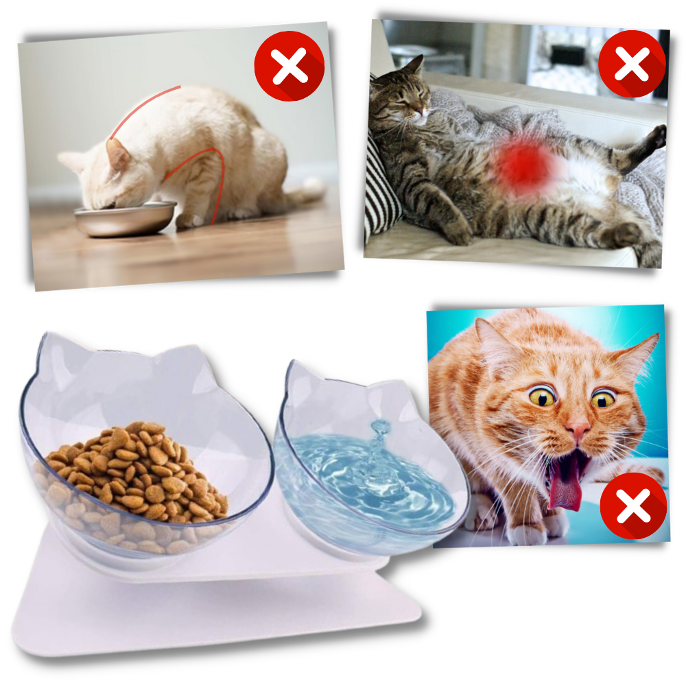 Bol confort surélevé pour chats - Ozerty