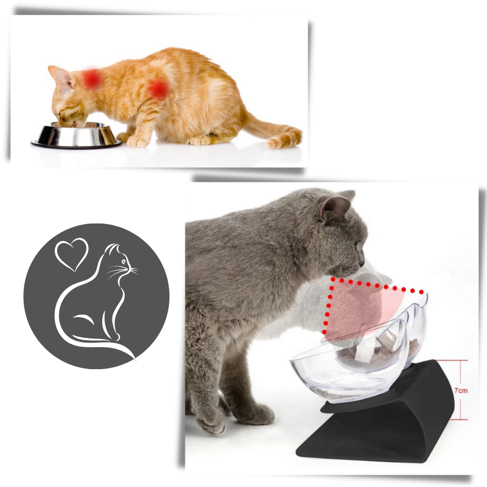 Bol confort surélevé pour chats - Ozerty