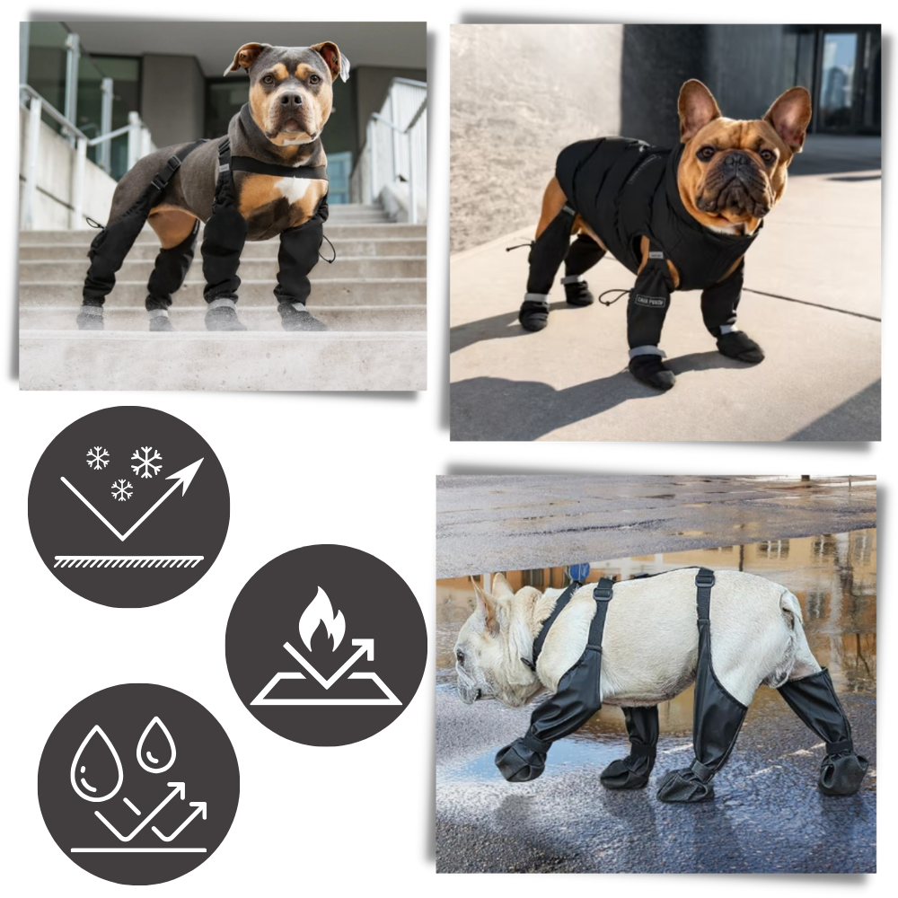 Bottes à bretelles imperméables pour chiens - Ozerty