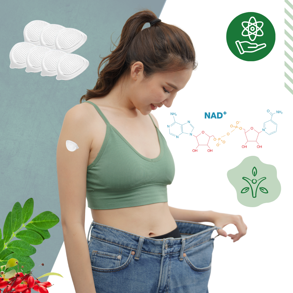 Patchs Microneedle au Moringa - Ozerty