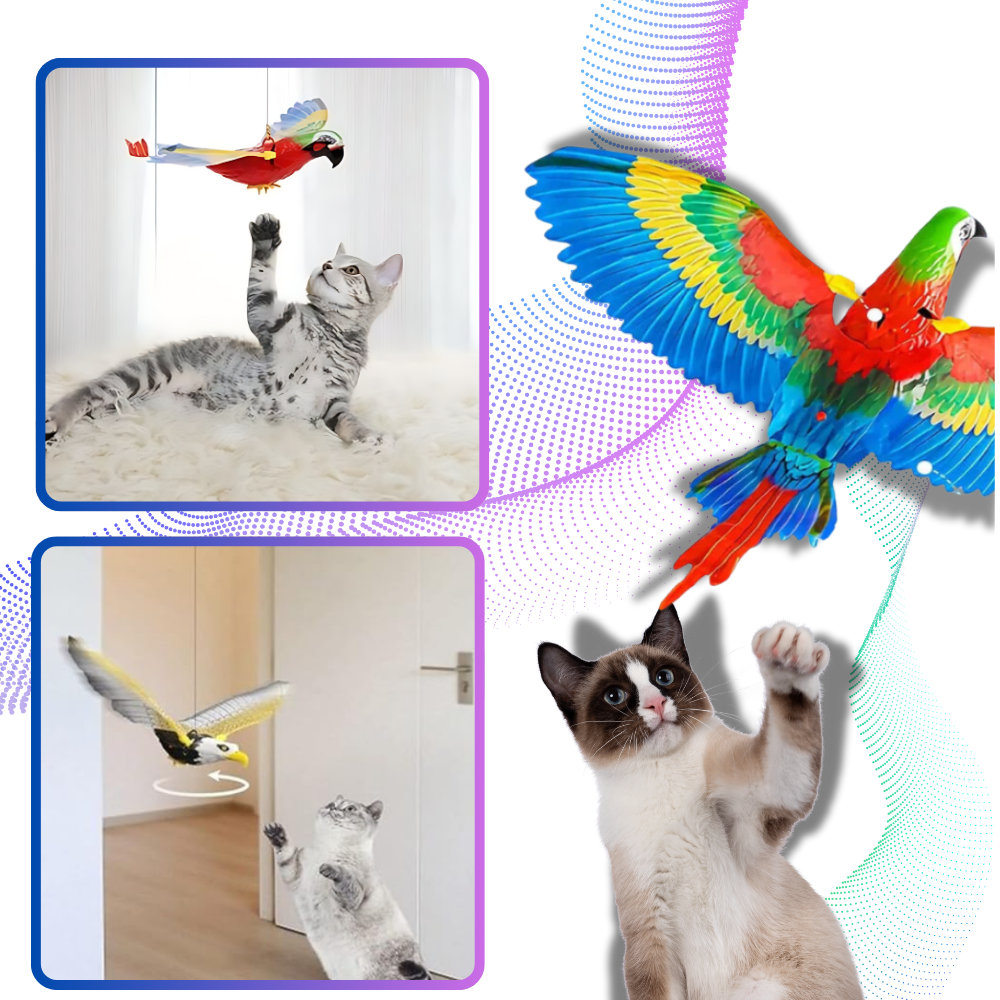 Jouet oiseau volant pour chat à suspendre

 - Ozerty