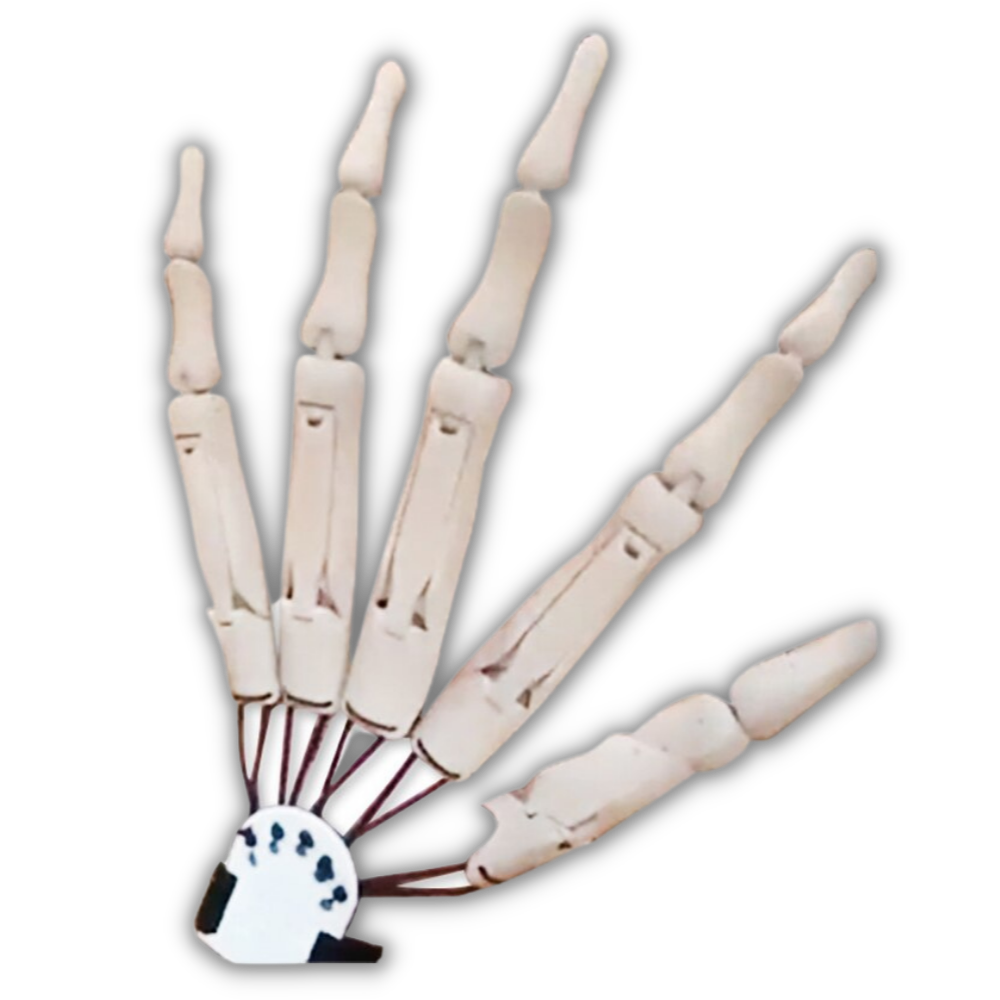 Gants mains de squelette -Gauche blanc/   - Ozerty
