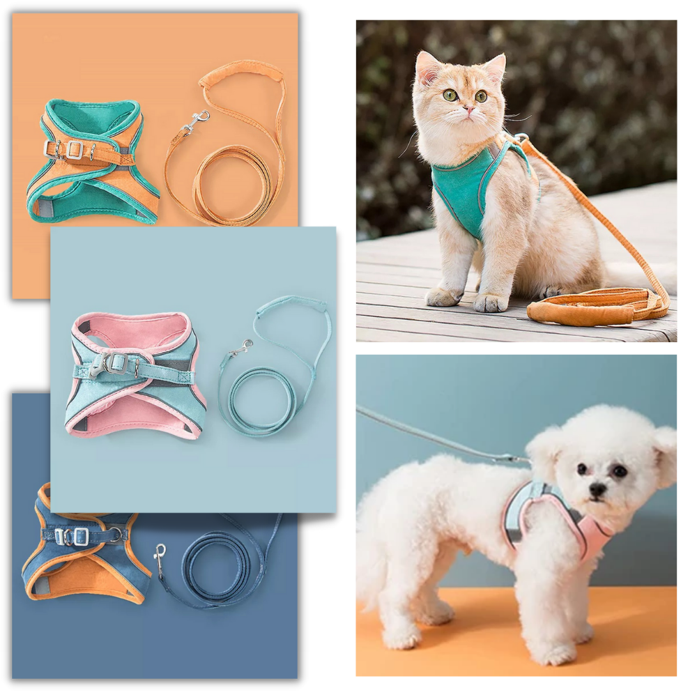 Ensemble harnais et laisse pour animaux