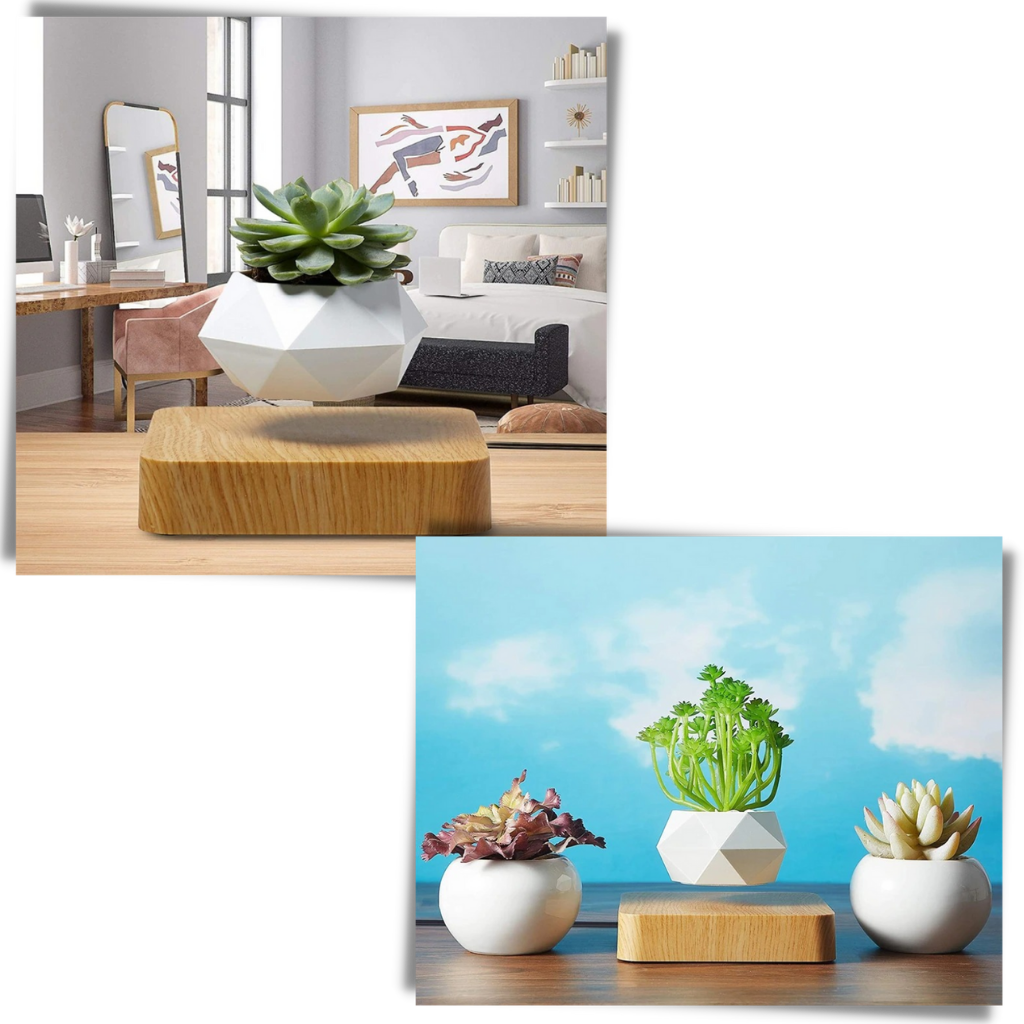 Pot à plante flottant en lévitation - Ozerty