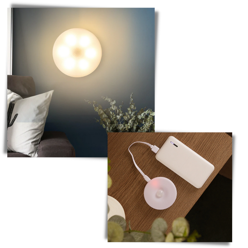 Lumière LED avec détecteur de mouvement - Ozerty