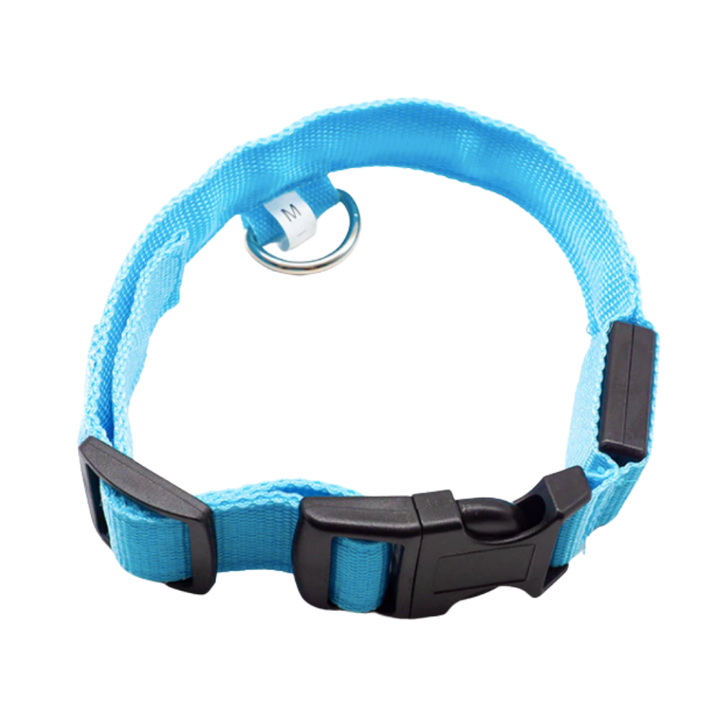 USB Rechargeable Light Up Pet Collar 
