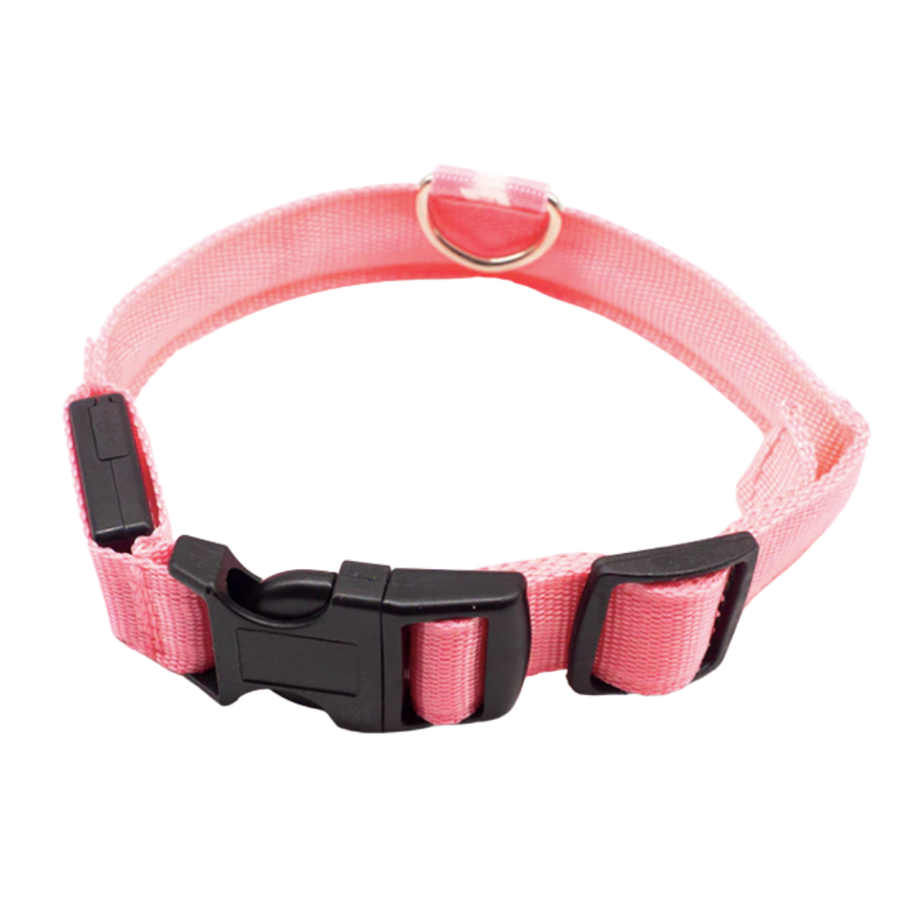 USB Rechargeable Light Up Pet Collar 