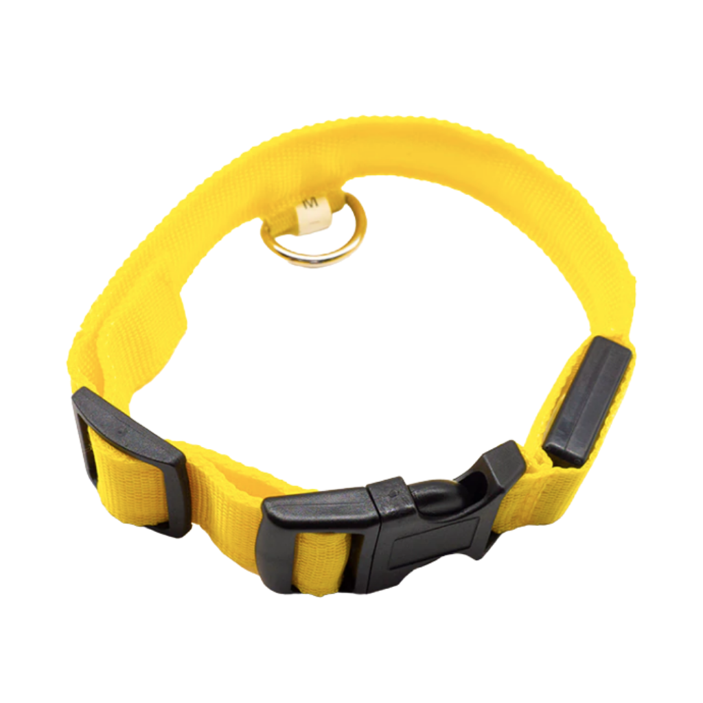 USB Rechargeable Light Up Pet Collar 