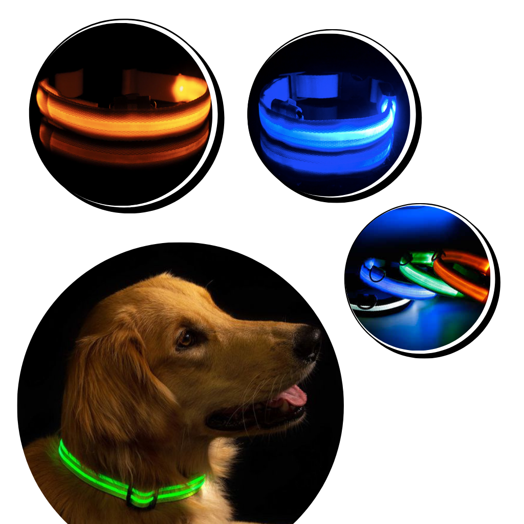 USB Rechargeable Light Up Pet Collar 