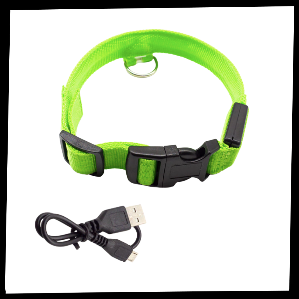 USB Rechargeable Light Up Pet Collar 