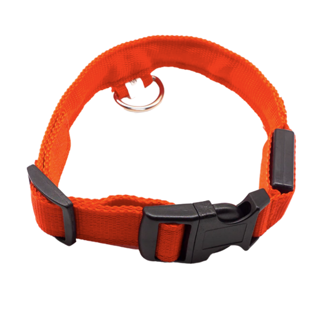 USB Rechargeable Light Up Pet Collar 
