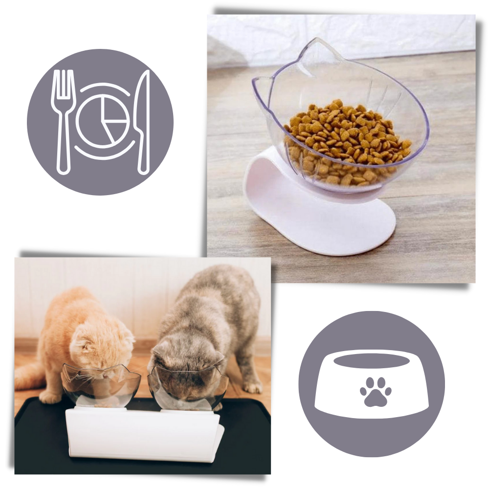 Bol confort surélevé pour chats - Ozerty