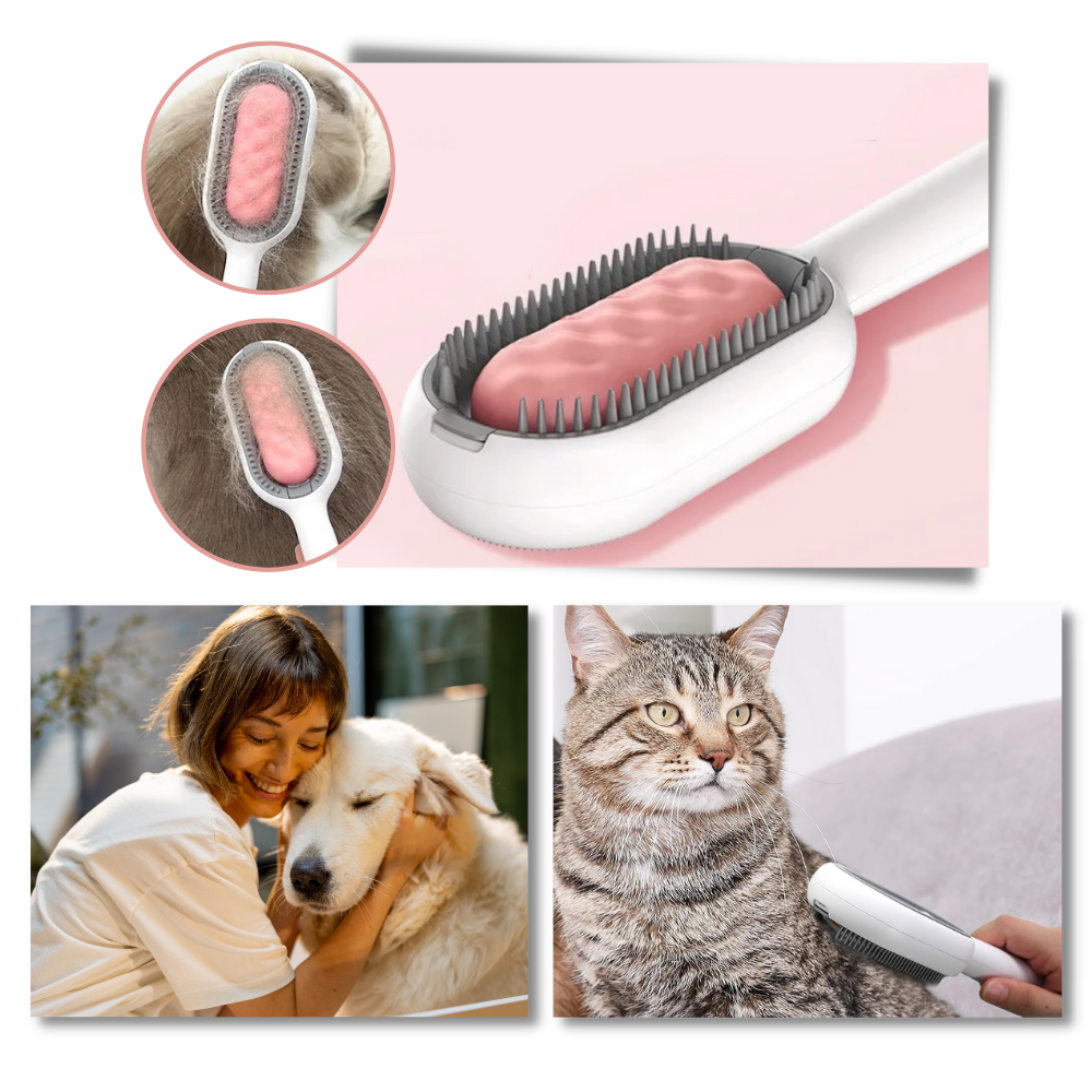 Brosse de toilettage avec réservoir d'eau

 - Ozerty